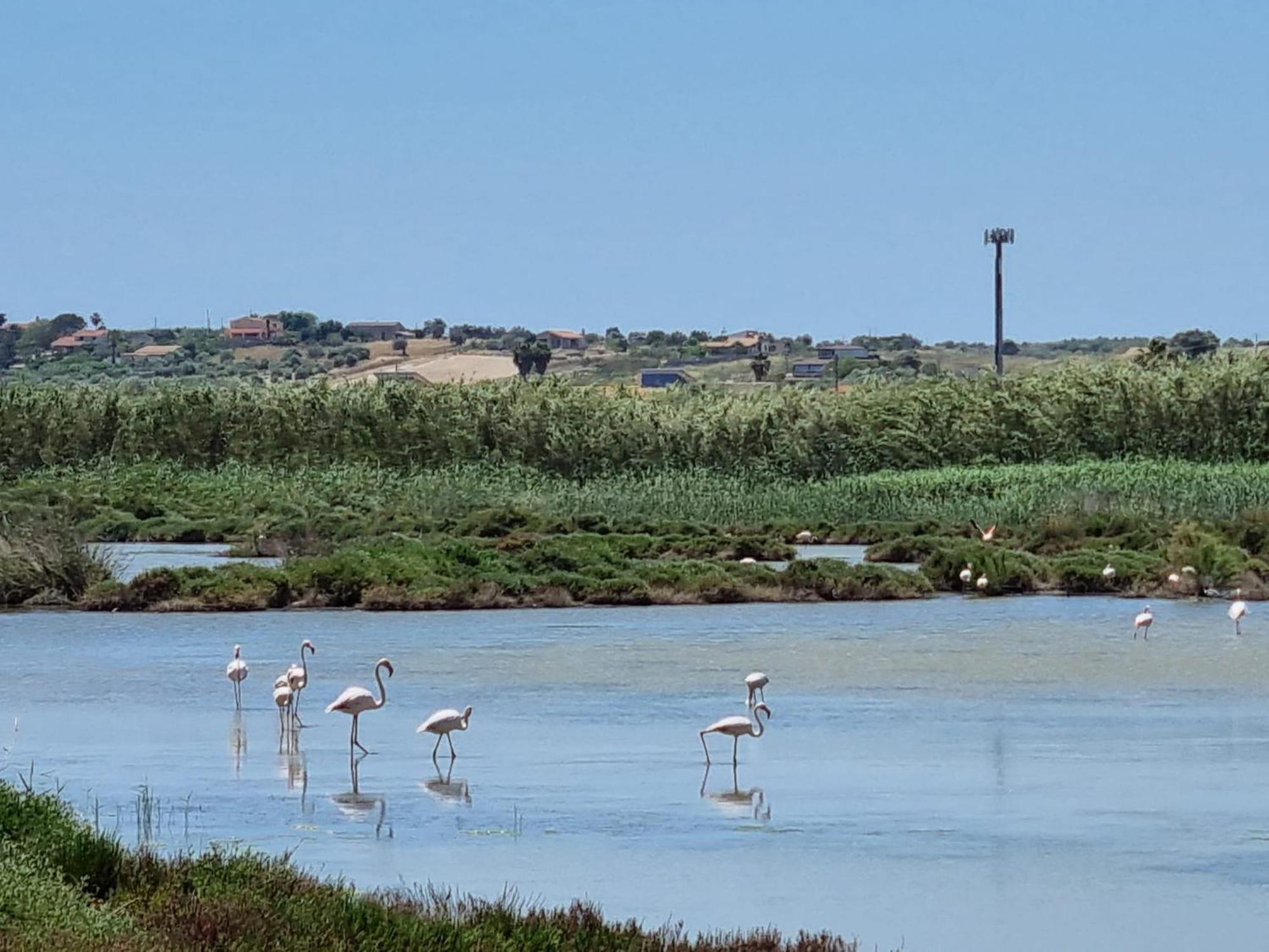 -Dimartino Home- Posizione Centrale 9 Min Da Marzamemi San Lorenzo Portopalo Di Capo Passero パキーノ エクステリア 写真